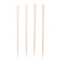 Capital Wax Applicators Lip / Eyebrow 100pkAlternative Image3