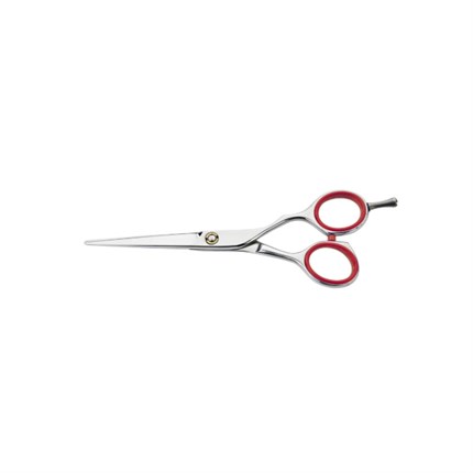 Scissors Pro 5.5